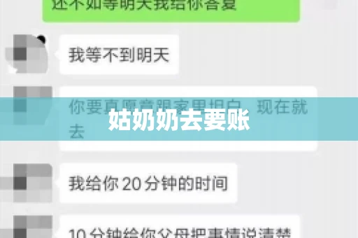 姑奶奶去要账