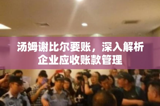 汤姆谢比尔要账，深入解析企业应收账款管理