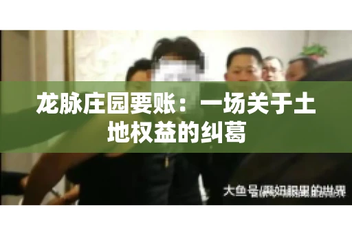 龙脉庄园要账：一场关于土地权益的纠葛