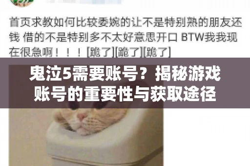 鬼泣5需要账号？揭秘游戏账号的重要性与获取途径