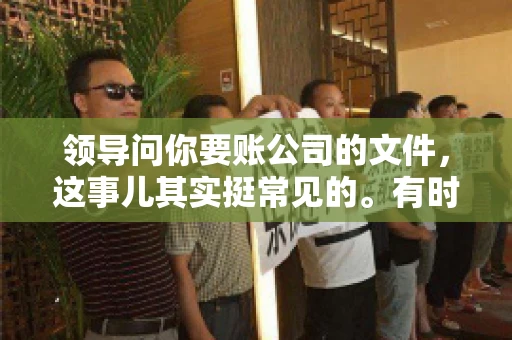 领导问你要账公司的文件，这事儿其实挺常见的。有时候，你可能一头雾水，不知道从何下手。今天，我就来和大家聊聊这个话题，希望能帮到大家。