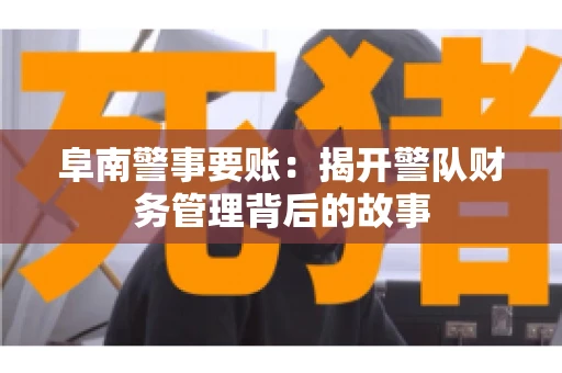 阜南警事要账：揭开警队财务管理背后的故事