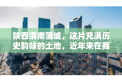 陕西渭南蒲城，这片充满历史韵味的土地，近年来在商业活动中也展现出了其独特的活力。其中，关于“陕西渭南蒲城要账”的话题，成为了不少企业关注的焦点。今天，我们就来聊聊这个话题，看看在蒲城，要账的那些事儿。