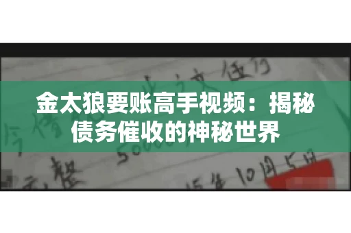 金太狼要账高手视频：揭秘债务催收的神秘世界