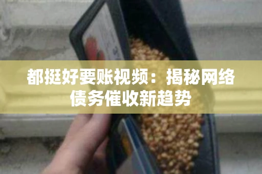 都挺好要账视频：揭秘网络债务催收新趋势