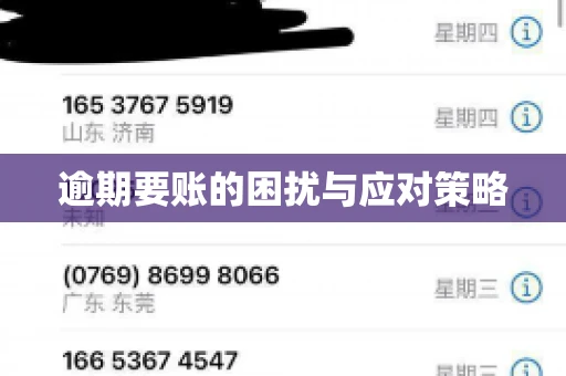 逾期要账的困扰与应对策略