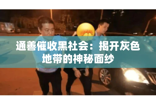 通善催收黑社会：揭开灰色地带的神秘面纱