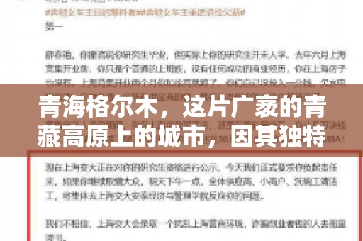 青海格尔木，这片广袤的青藏高原上的城市，因其独特的地理位置和丰富的自然资源而闻名。然而，对于一些借款人来说，这里可能因为逾期还款而接到催收电话。那么，青海格尔木的催收电话是哪家公司的呢？今天，我们就来聊聊这个话题。