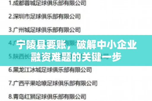 宁陵县要账，破解中小企业融资难题的关键一步