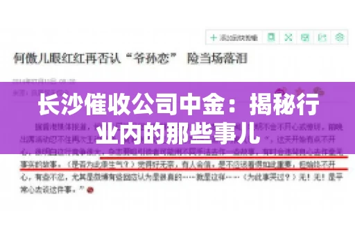 长沙催收公司中金：揭秘行业内的那些事儿